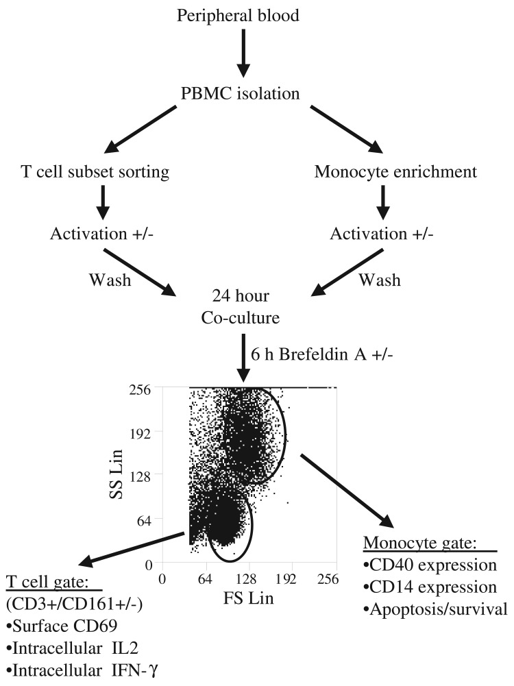 Fig. 5.