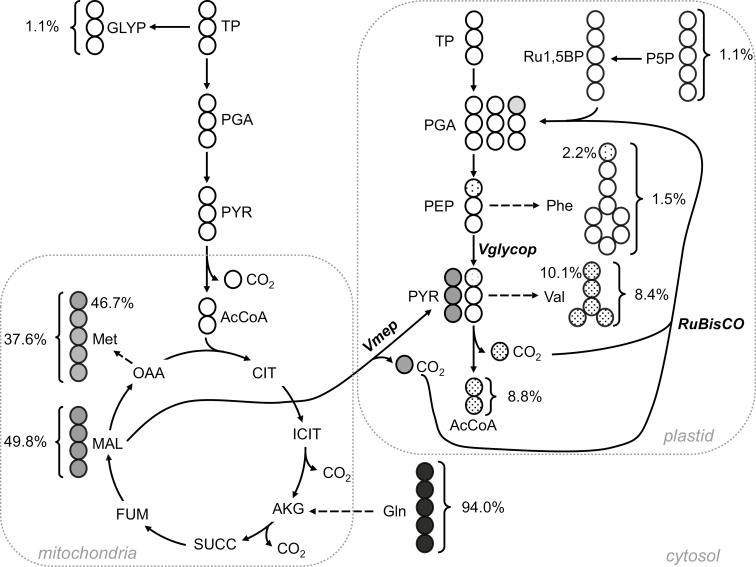 Fig. 6.