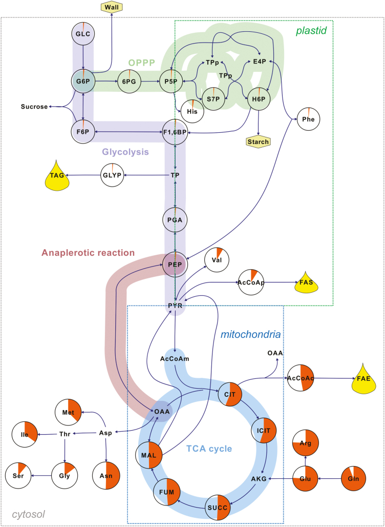 Fig. 4.