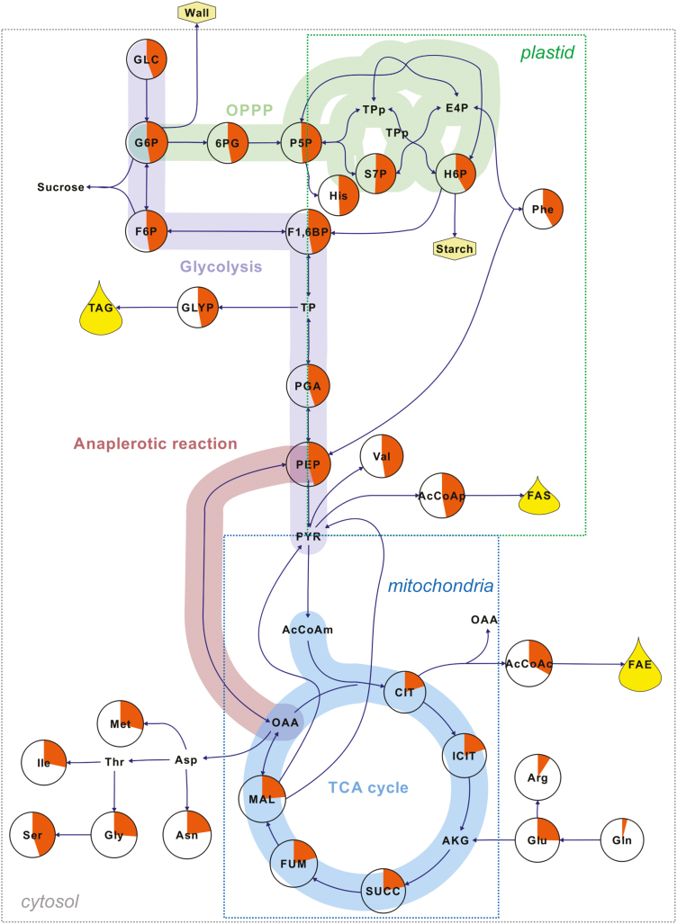 Fig. 3.