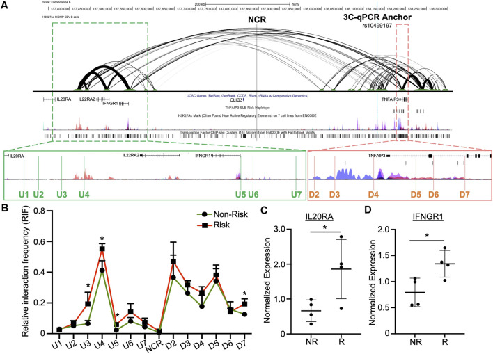 FIGURE 3