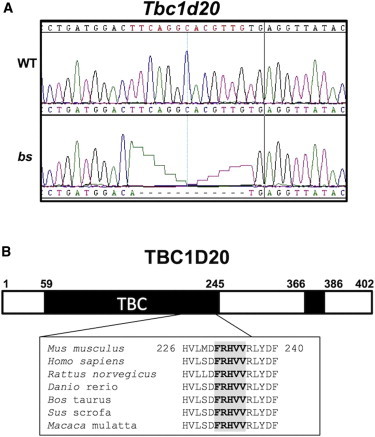 Figure 2