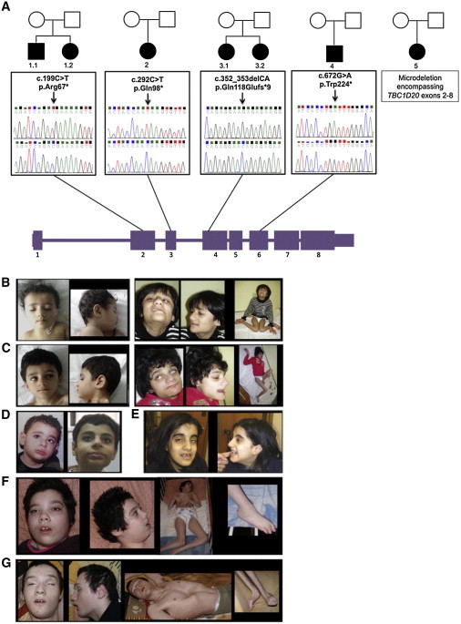 Figure 5