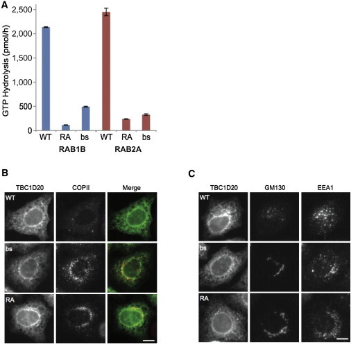 Figure 3