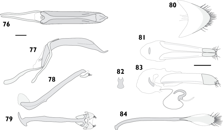 Figures 76–84.