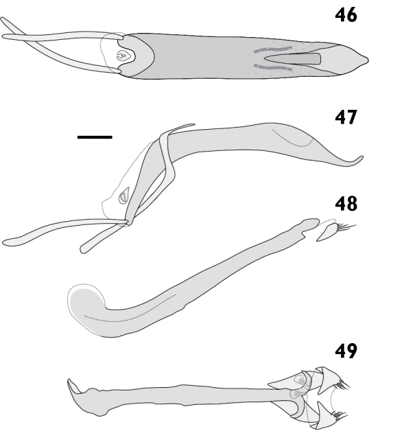 Figures 46–49.