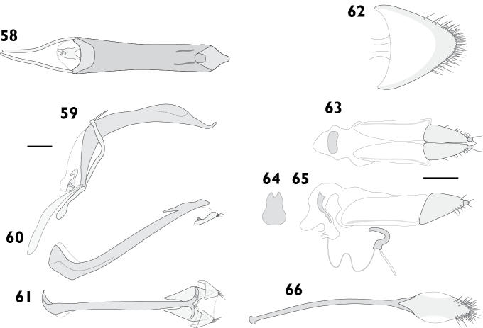 Figures 58–66.