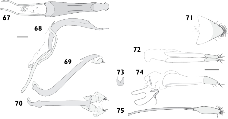 Figures 67–75.