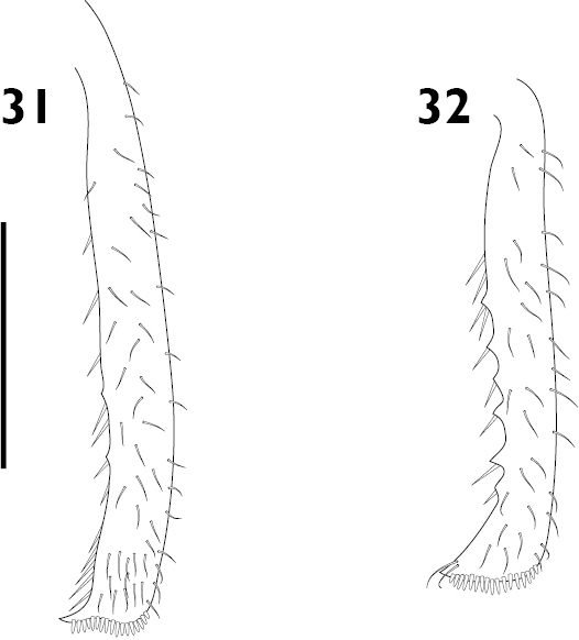 Figures 31–32.