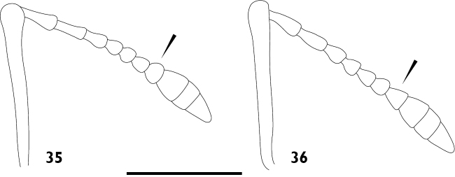 Figures 35–36.