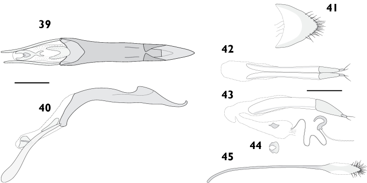 Figures 39–45.