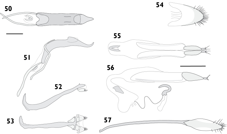 Figures 50–57.