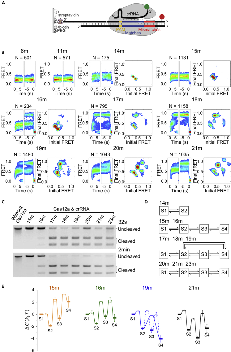 Figure 2