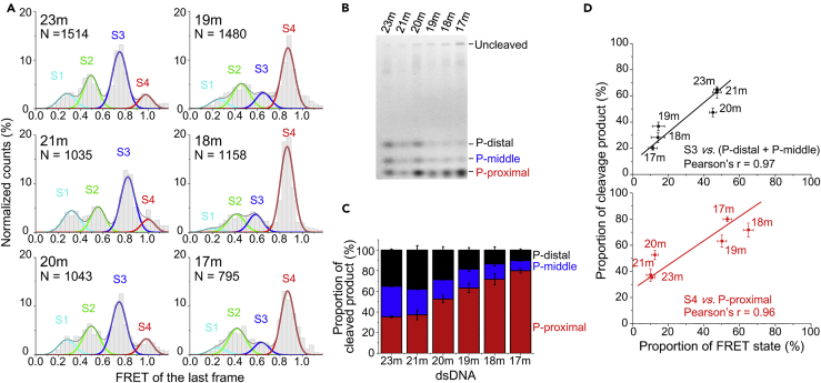 Figure 3