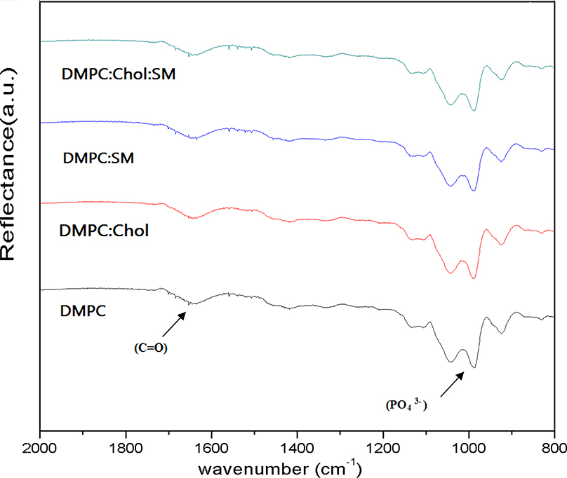 Figure 5: