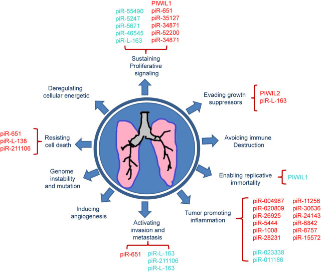 PIWI-interacting RNA (piRNA): a narrative review of its biogenesis ...