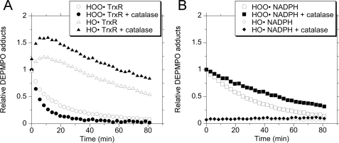 FIGURE 9.