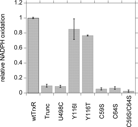 FIGURE 10.