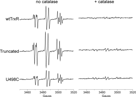 FIGURE 11.