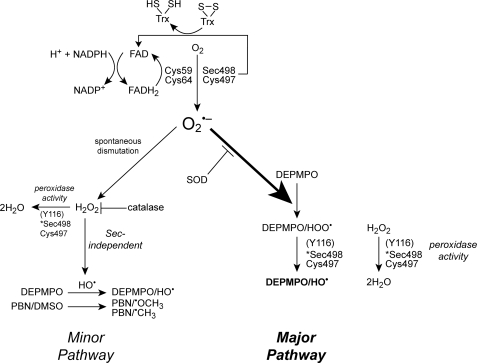 FIGURE 12.