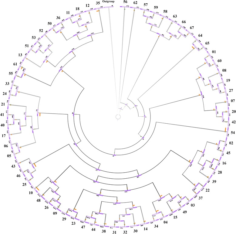 Fig. 3