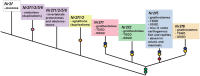 Fig 10