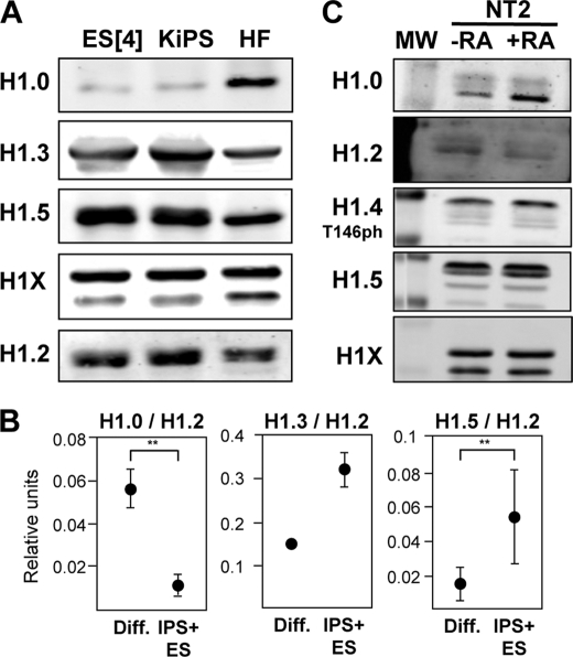 FIGURE 4.