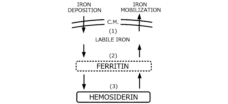 Fig. 3