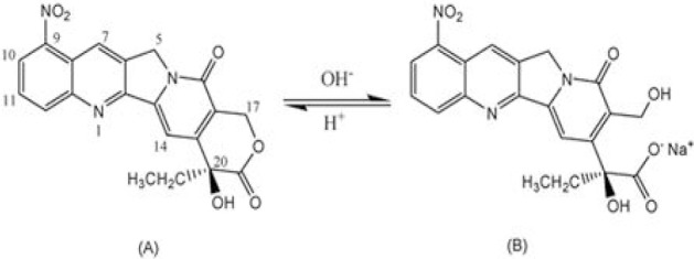 Fig. 1