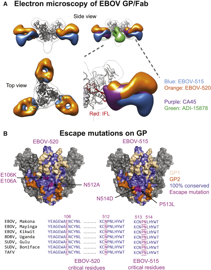 Figure 6