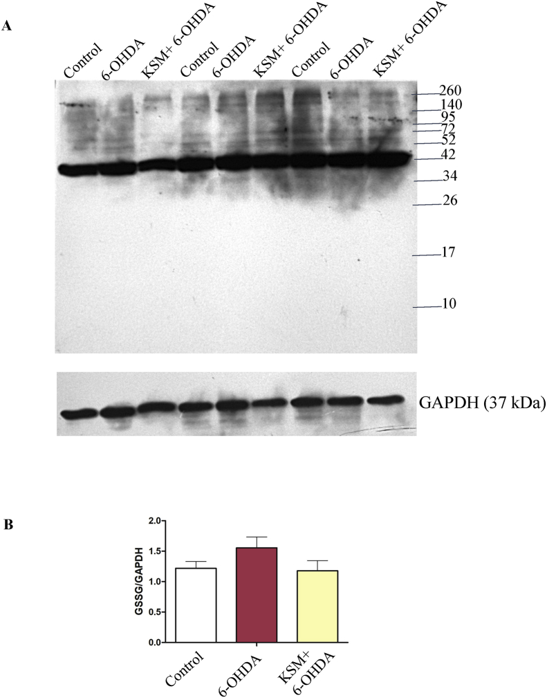 Figure 7