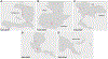 FIGURE 1 |