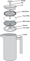 FIGURE 2 |