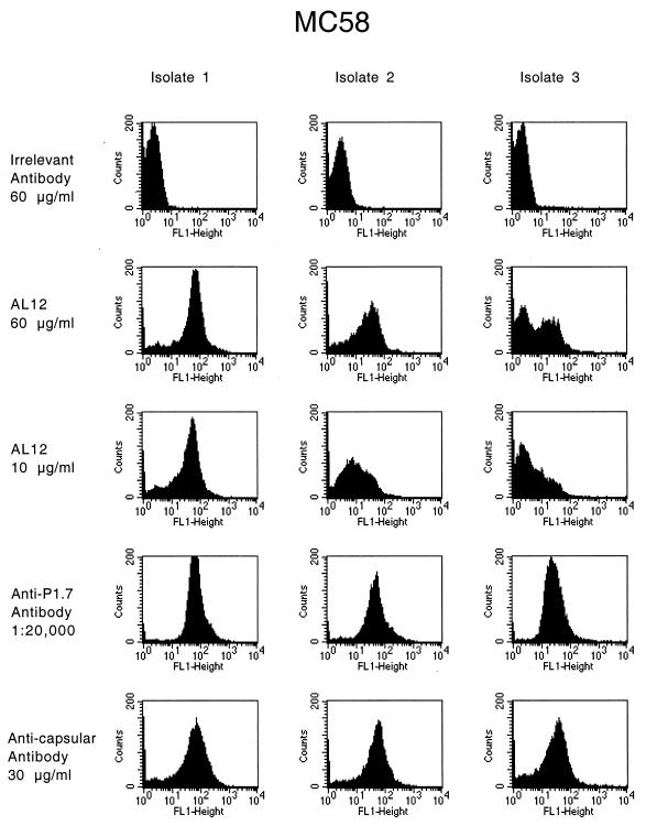 FIG. 4