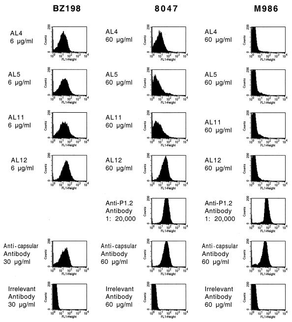 FIG. 3