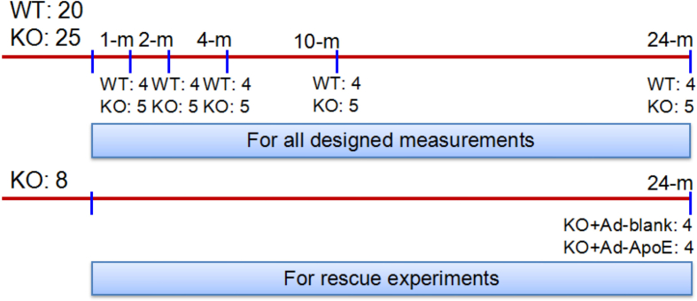 figs1