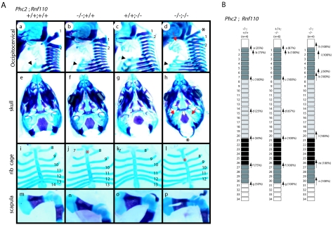 FIG. 7.