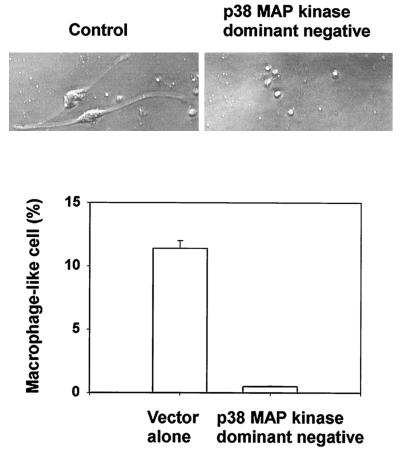 FIG. 8.