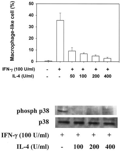 FIG. 9.