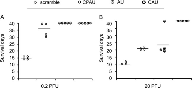 Fig 7