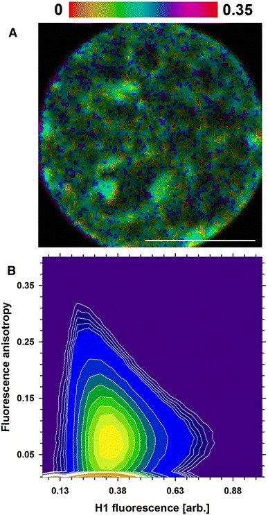 Fig. 5