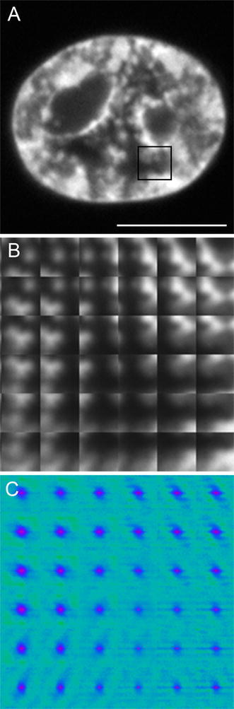 Fig. 2