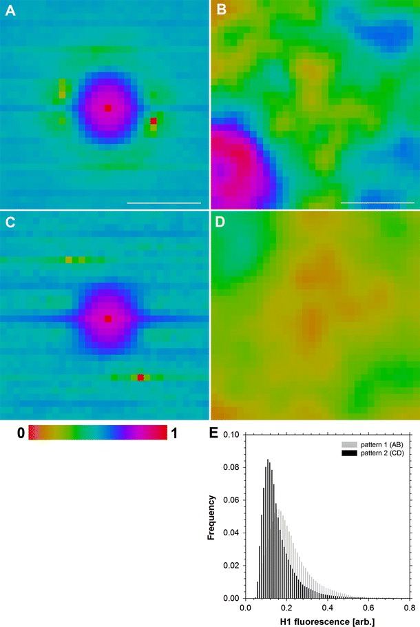 Fig. 3