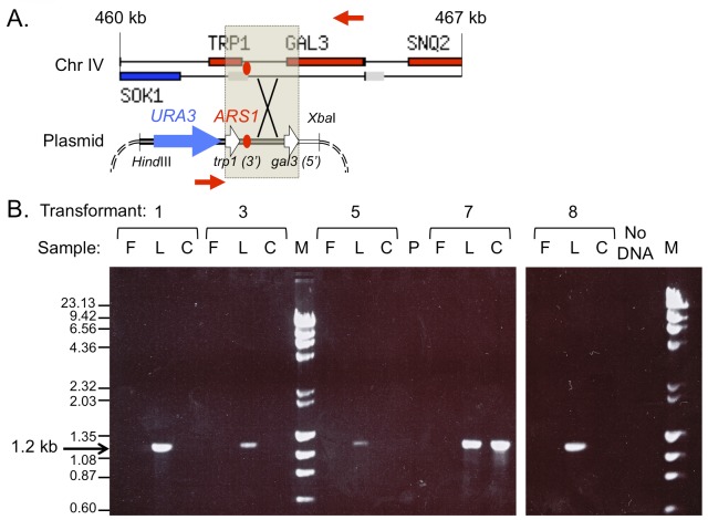 Fig 6