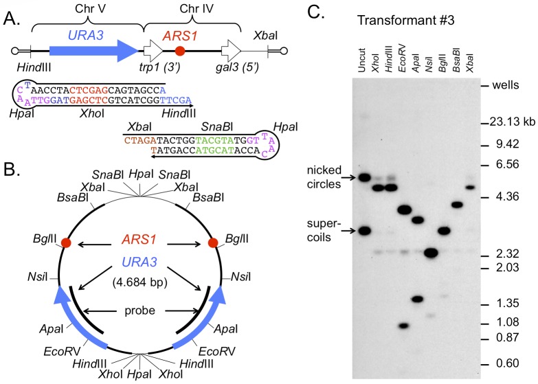 Fig 4