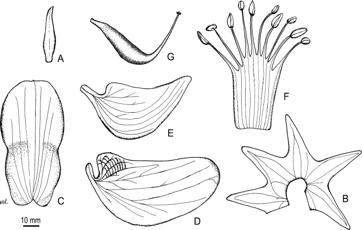 Fig 5