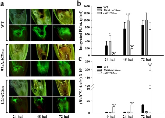 Figure 6