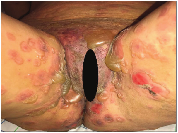 Fig. 3
