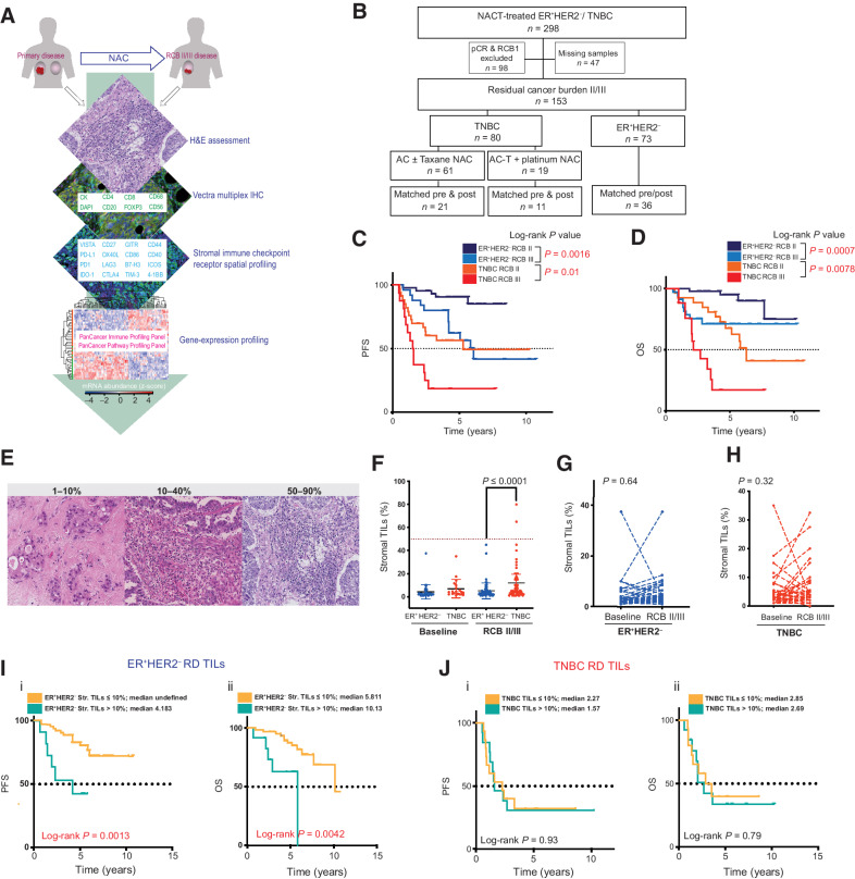 Dynamic Changes in the NK-, Neutrophil-, and B-cell Immunophenotypes ...