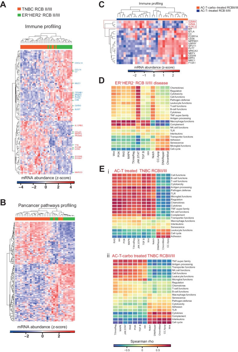 Figure 4. Subtype- and chemotherapy-specific immune profiles observed in post NAC chemotherapy-resistant breast cancers. A, Heatmap showing expression of immune profiling gene set in ER+HER2– and TNBC residual disease samples. DE genes with FDR-adjusted P < 0.1 and a |log2FC| of > 2 are highlighted in the heatmap. Red represents genes that are highly enriched in TNBC residual disease, and blue represents genes highly enriched in ER+HER2– disease. B, Heatmap showing expression of the pan-cancer profiling gene set in ER+HER2– and TNBC residual disease samples. GZMM, GZMA, and KLRC2 represent downregulated genes in carboplatin-treated residual disease. D, Heatmap showing Spearman rank correlation coefficient between pan-cancer and immune-related genes in ER+HER2– residual disease samples. E, Heatmap showing Spearman rank correlation coefficient between pan-cancer and immune-related genes in TNBC residual disease samples from patients who received AC-T only (i) or with (ii) additional platinum-based chemotherapy.